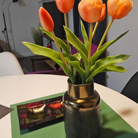 Studio Apartman Gradna サモボル エクステリア 写真