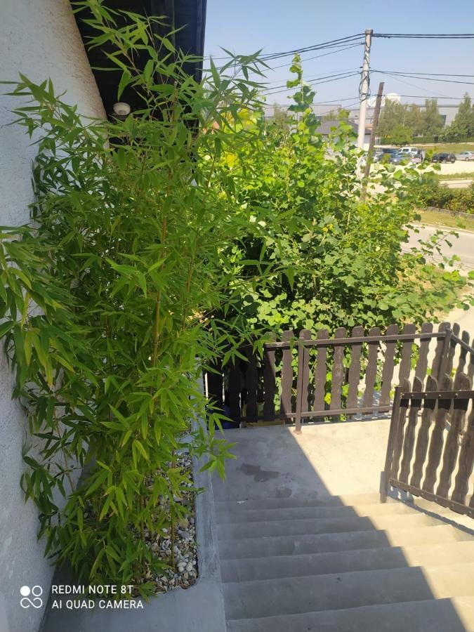 Studio Apartman Gradna サモボル エクステリア 写真