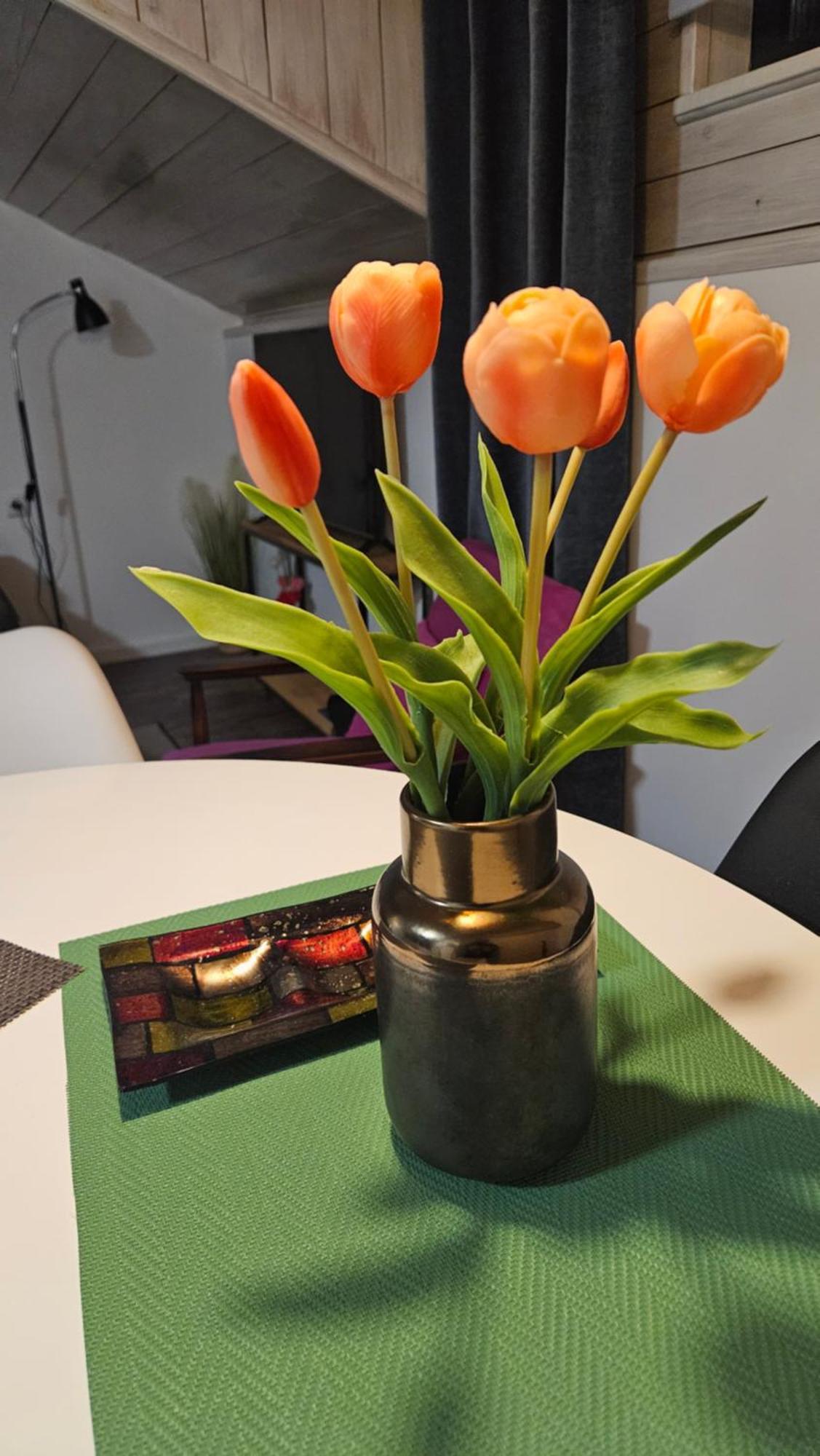 Studio Apartman Gradna サモボル エクステリア 写真